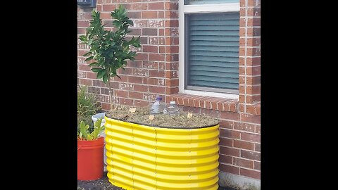 52 Sundays! Raised Beds!