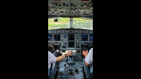 A330 Landing Cockpit Views