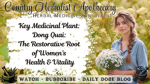 Key Medicinal Plant: Dong Quai: The Restorative Root of Women’s Health and Vitality