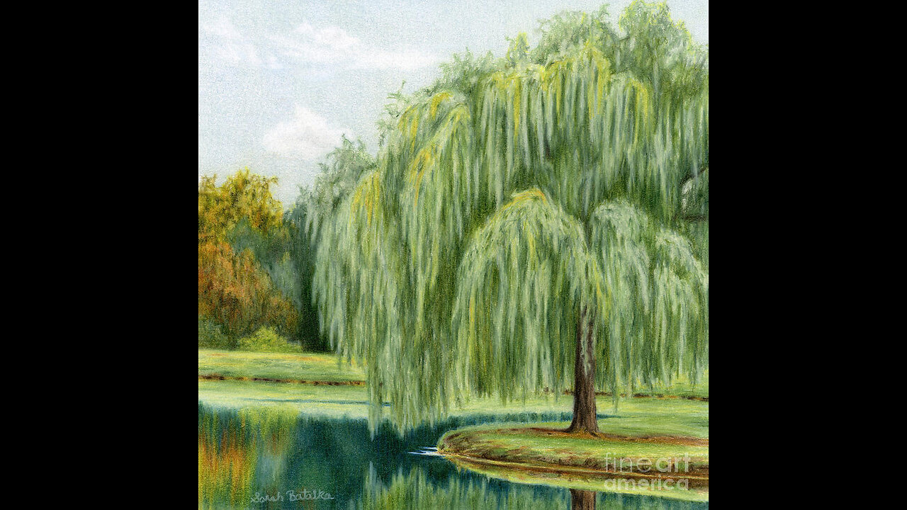 7-26-2025: The breakdown of society