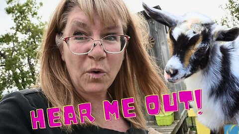 We Bought MORE Baby Goats BUT Hear Me OUT!