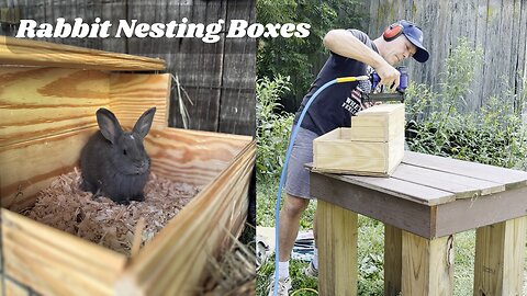 From Scrap Wood to Easy Nesting Boxes