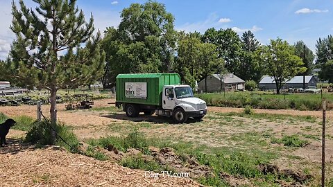 Graham Family Farm: Uribe's Tree Service Wood Chips - May 23 2025