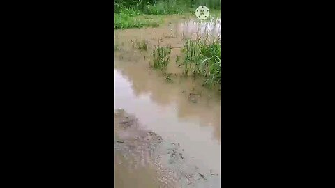satisfying Video