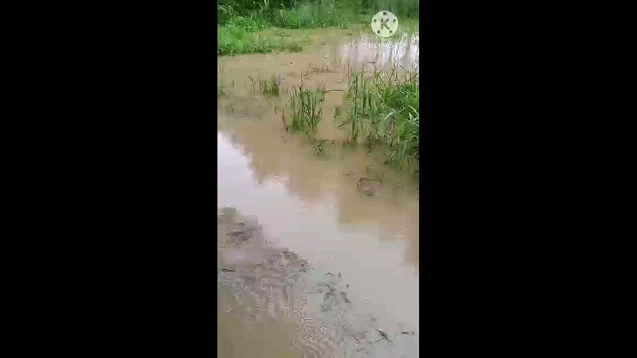 satisfying Video