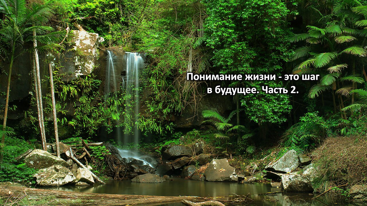 Понимание жизни-это шаг в будущее. Часть 2. Understanding life is a step into the future. Part 2.