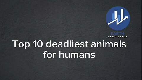 Top 10 deadliest animals for humans...