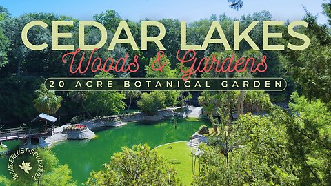 Explore Waterfalls and Koi Ponds: A Day at Cedar Lakes Woods & Gardens