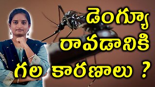డెంగ్యూ కారణాలు ఏంటి? Risk, Triggering Factors & Causes For Degue Homeopathy Treatment Cure medicine
