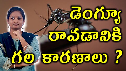 డెంగ్యూ కారణాలు ఏంటి? Risk, Triggering Factors & Causes For Degue Homeopathy Treatment Cure medicine