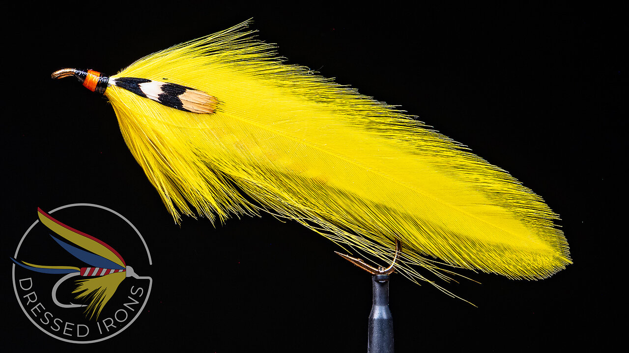 Tying the Canary - Custom - Dressed Irons