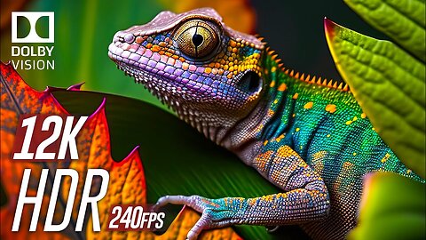 Mesmerizing HDR 12K 240fps Dolby Vision Showcase