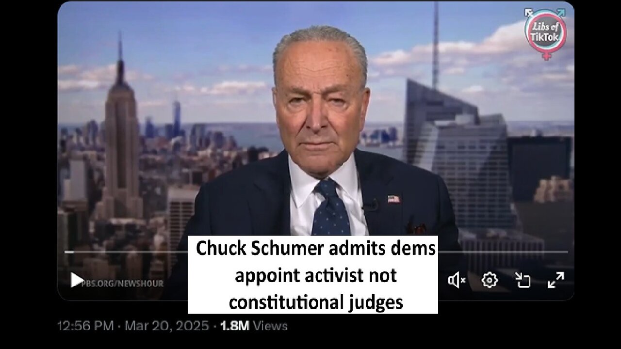 Chuck Schumer admits democrat appointed judges are just activist to will stop Trump