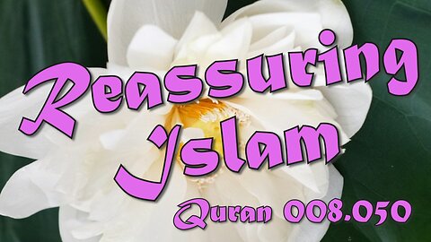 Reassuring Islam - Quran 8v50