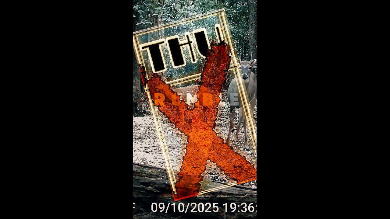 Countdown to Sept 13 - Thursday