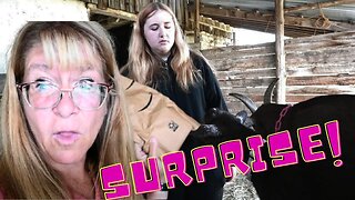 We Had A HUGE Misunderstanding! And A SURPRISE Delivery!