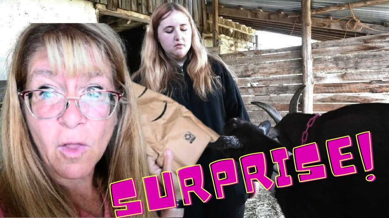 We Had A HUGE Misunderstanding! And A SURPRISE Delivery!