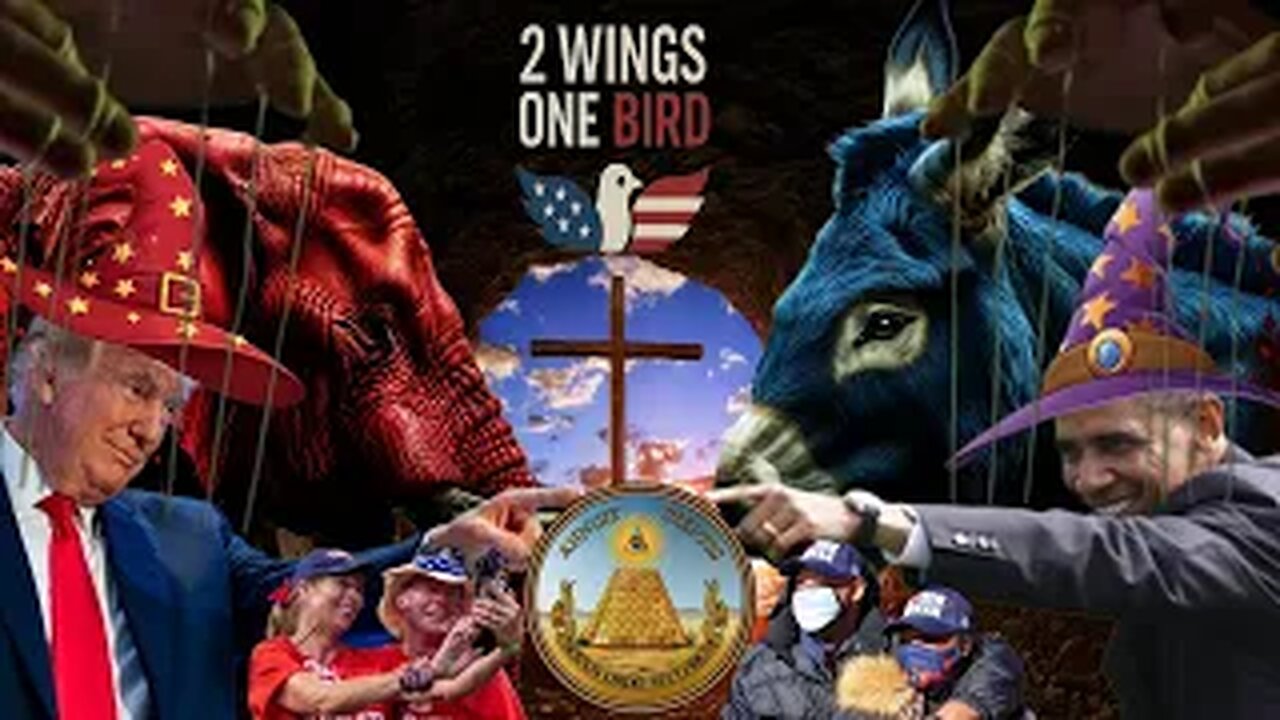 Two Wings Same bird!!!