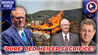 Israel Sacrifices 'Pure' Red Heifer in Secret? | Dr. Andy Woods & Dr. Rob Lindsted
