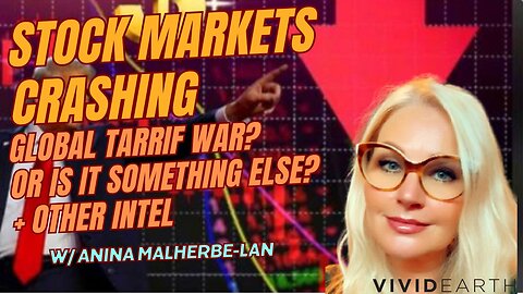 POTENTIAL STOCK MARKET CRASH, TARRIF WARS, LIBERATION DAY & HOW IT'S ALL CONNECTED, w/ Anina