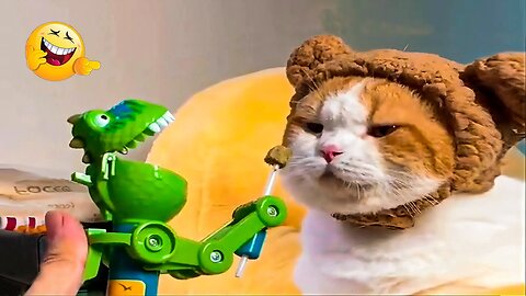 2025’s Funniest Dogs & Cats 😂 You Won’t Stop Laughing! | You Laugh You lose 😍😸😹 #Ep86