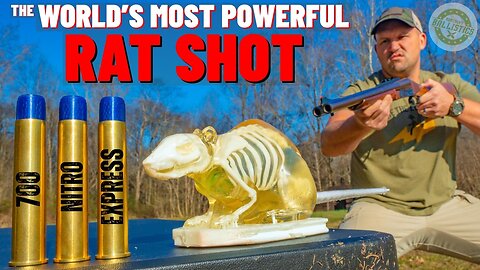 The World’s Most POWERFUL Rat Shot !!! (700 Nitro Express Rat Shot)