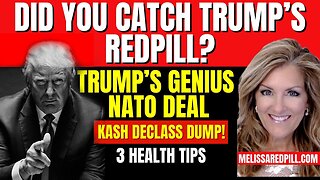Melissa Redpill Situation Update 08.20.25: "Trump's Redpill Drop! Genius Nato Deal, Declass"