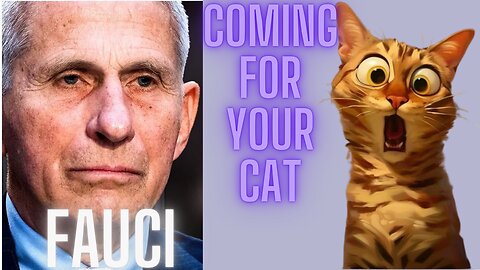 Fauci's Shocking Plan: Millions of Cats at Risk!
