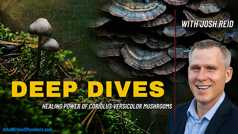 Healing Power of Coriolus Versicolor Mushrooms | Deep Dives with Josh Reid