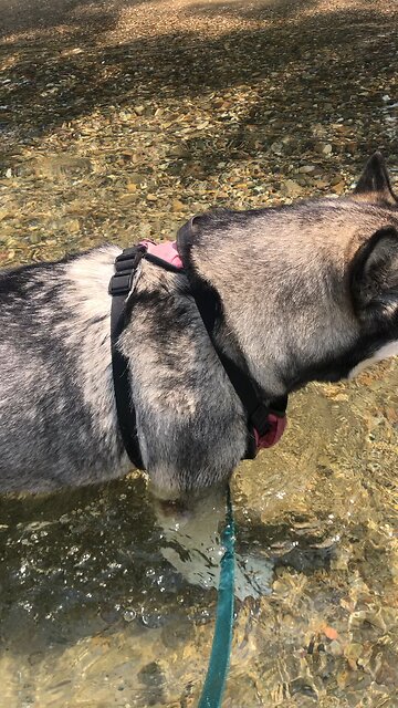 Tuesday August 5, Don’t be anxious about anything.