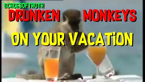 Party Animal Monkeys Living It Up In The Caribbean