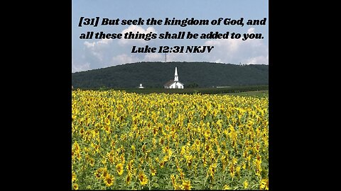 The Christian Walk! Luke 12:22-34 #sermon #bible #jesus