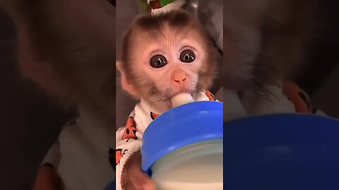 The cutest reminder that happiness is contagious! 😍🐒