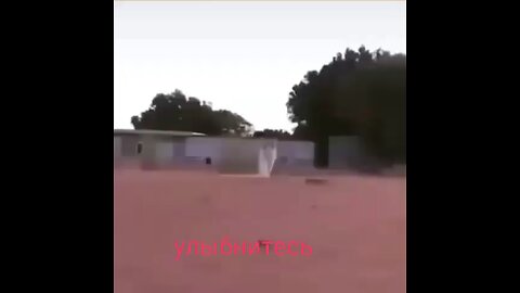 funny animals 🤣🤣