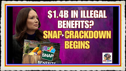 $1.4B in Illegal Benefits SNAP Crackdown Begins