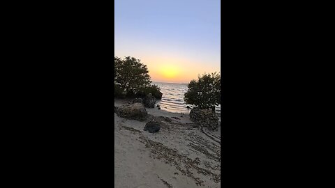 Qatar hidden spot