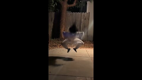 Entrena a su robot para que recree una de las míticas escenas de 'El Exorcista'