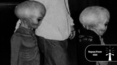 THE ORIGINAL DEMONIC GREYS VS LAB CREATED GREYS WHAT YOU DONT KNOW COULD KILL YOU