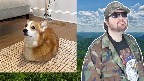 He Has His Own Problems (Hammy And Olivia) - Reaction! (BBT)