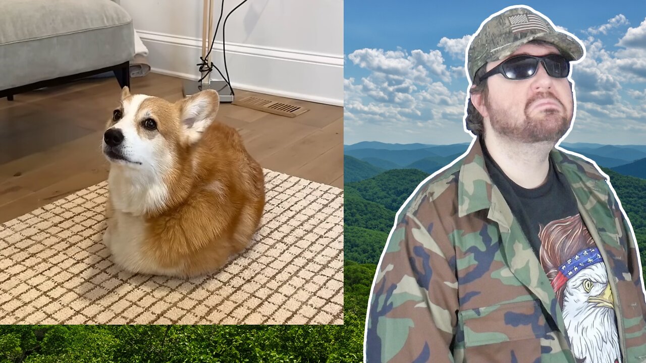 He Has His Own Problems (Hammy And Olivia) - Reaction! (BBT)