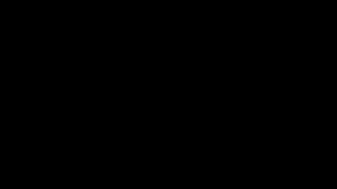 Feel free to ask me anything