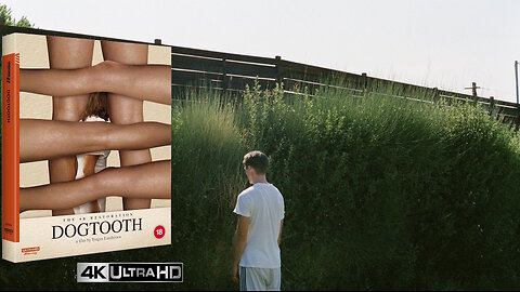 Dogtooth [4K UHD Collector's Edition O-ring Packaging & Standard Blu-ray]