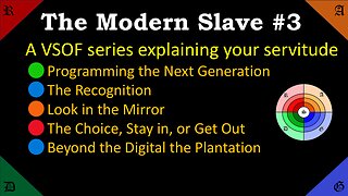 🔵🟢🔴🟠The Modern Slave. #3. A VSOF series regarding your servitude.