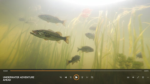 A New View Coming for the Channel