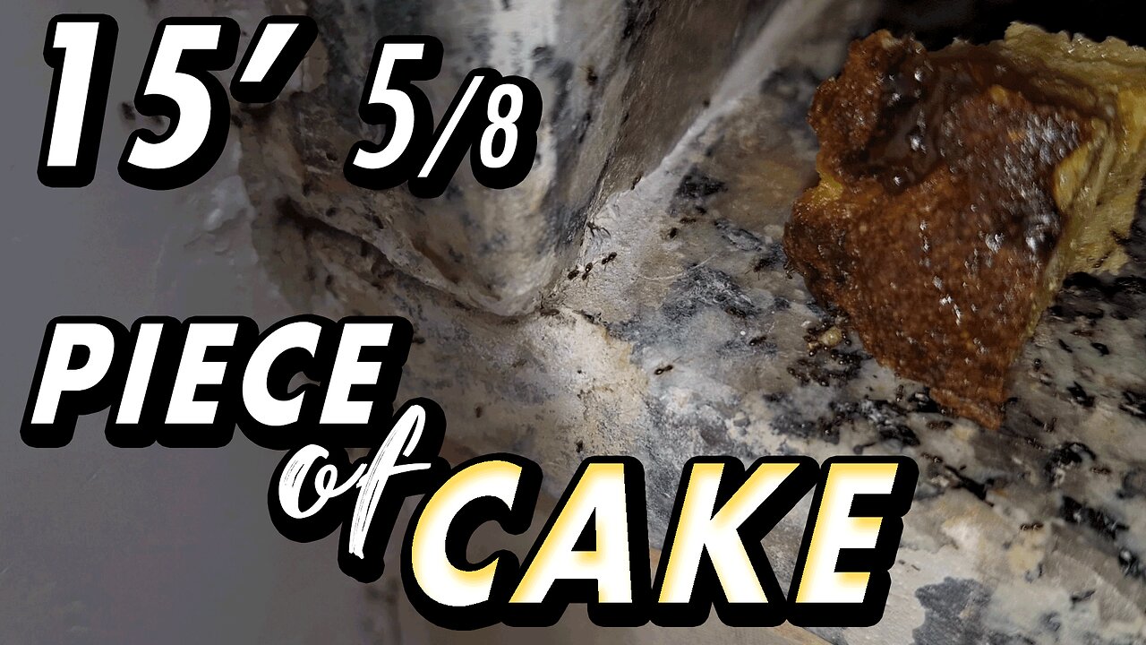 ASMR | You forgot some food on the way? Chill. The soldiers have it covered - 15' 5/8