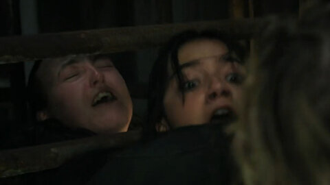 The Last Of Us S02E04 A Lesbian Relationship... Without the Violence