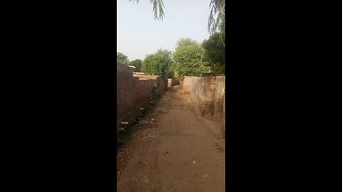 my village beautiful viral vedio