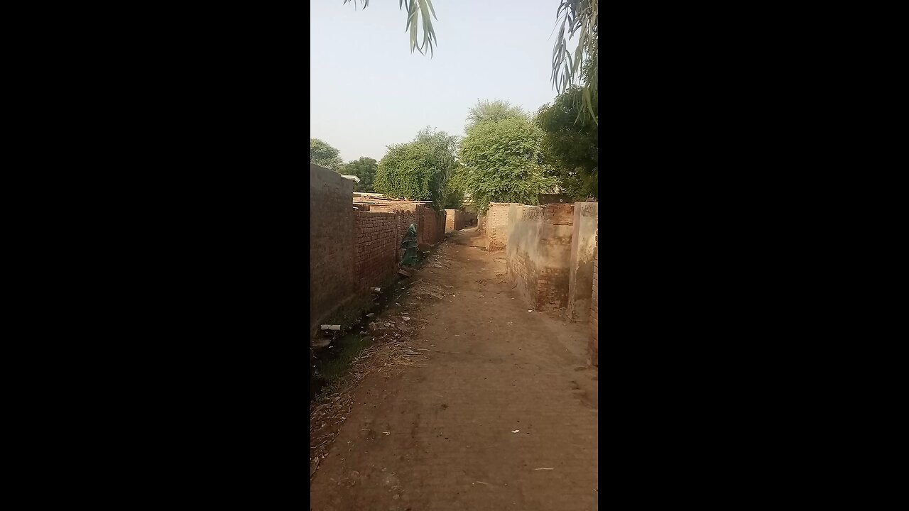 my village beautiful viral vedio