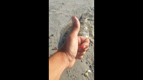 Another fluken keeper!!!!