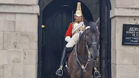 King's guard